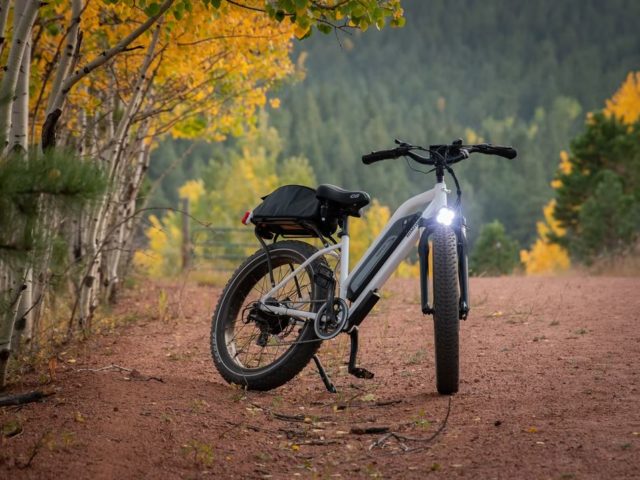 velo électrique